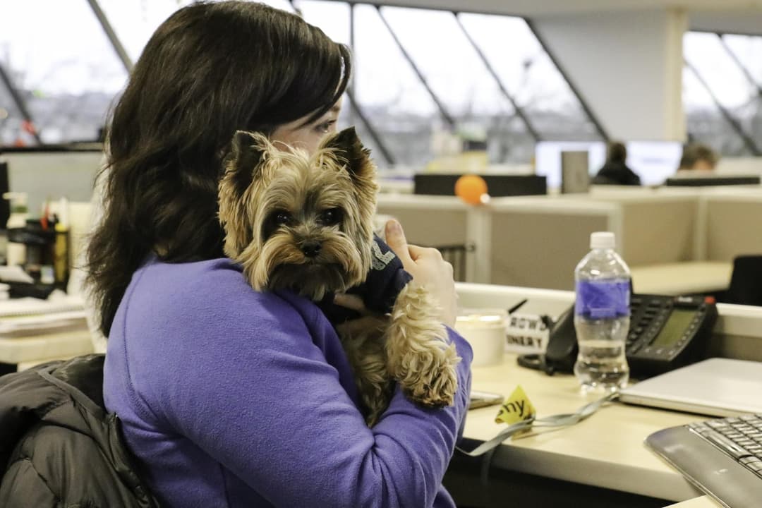 Trupanion company profile