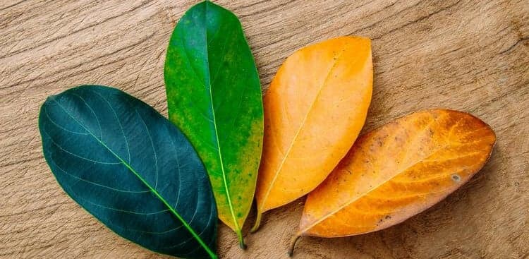 Everything Changes—Here's How You Can Get Better at Accepting That Fact