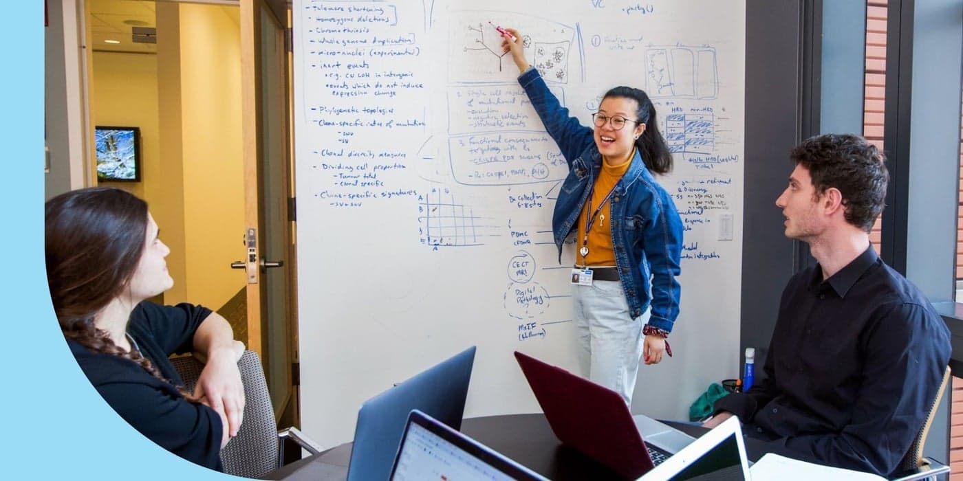 MSK employees brainstorming with a whiteboard.